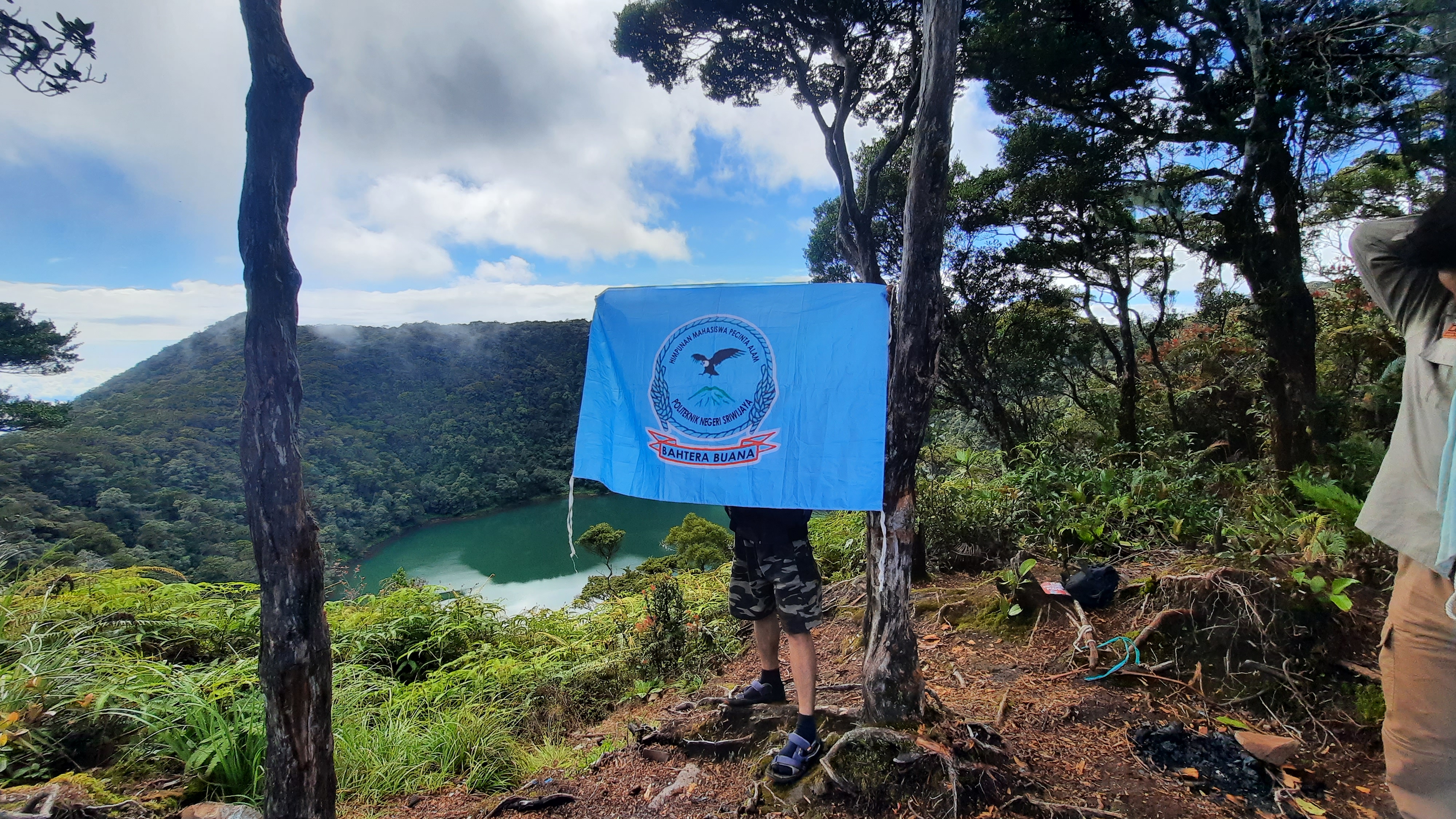 Rimba Gunung